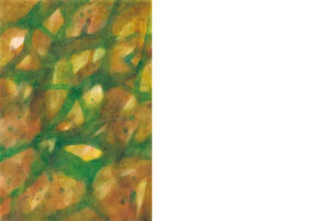 大倉宏展＠通販サイト