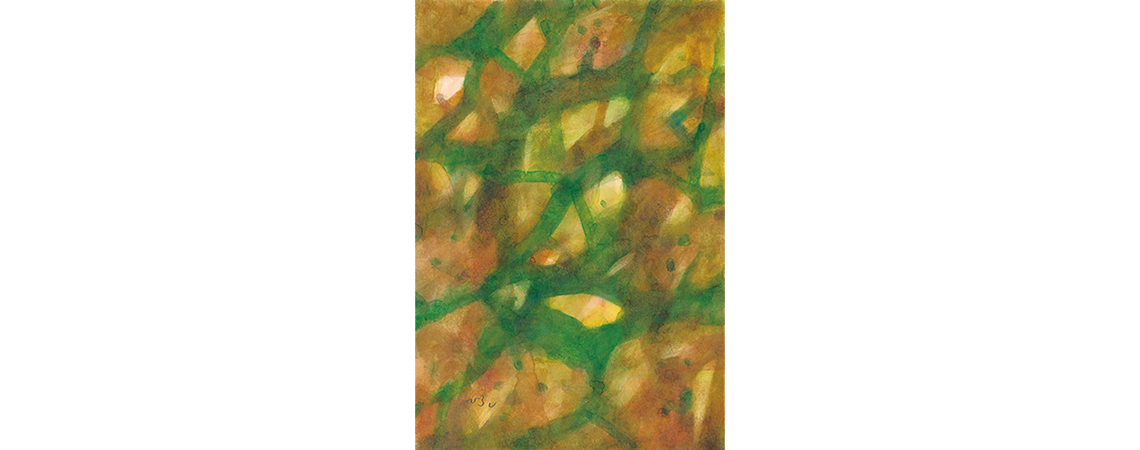 大倉宏展@eyashop（通販）