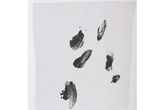 華雪作品集『花』