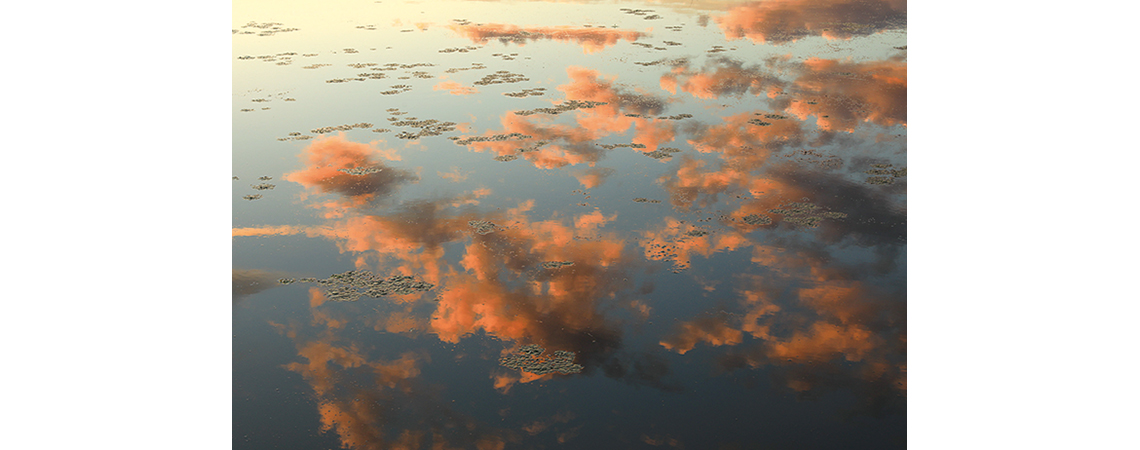 本間裕介写真展　潟の眼、水の記憶