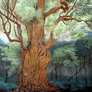 小島伽藍「縄文杉—古の静寂」