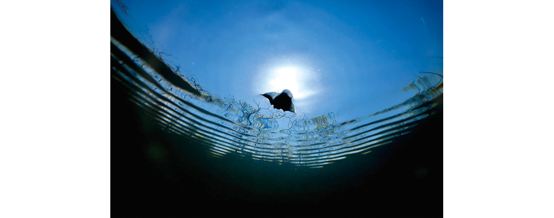 本間裕介写真展 潟の眼、水の記憶