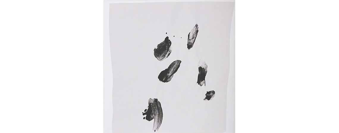 SHOP　華雪作品集『花』